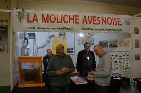 L'association la Mouche Avesnoise