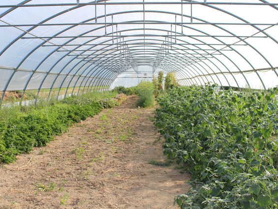 Espace test agricole