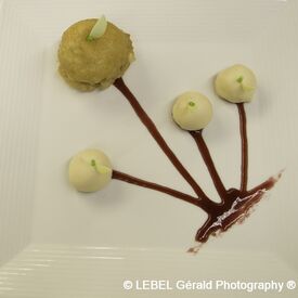 La fleur de Claire, tarte aux pommes revisitée